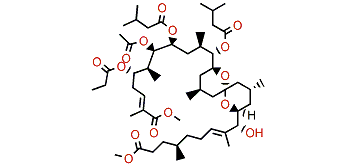 Didemnaketal B